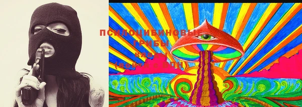 PSILOCYBIN Волоколамск