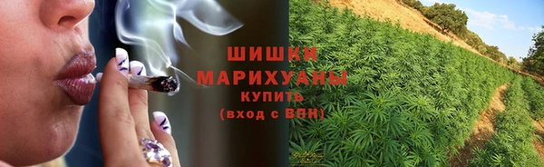 PSILOCYBIN Волоколамск